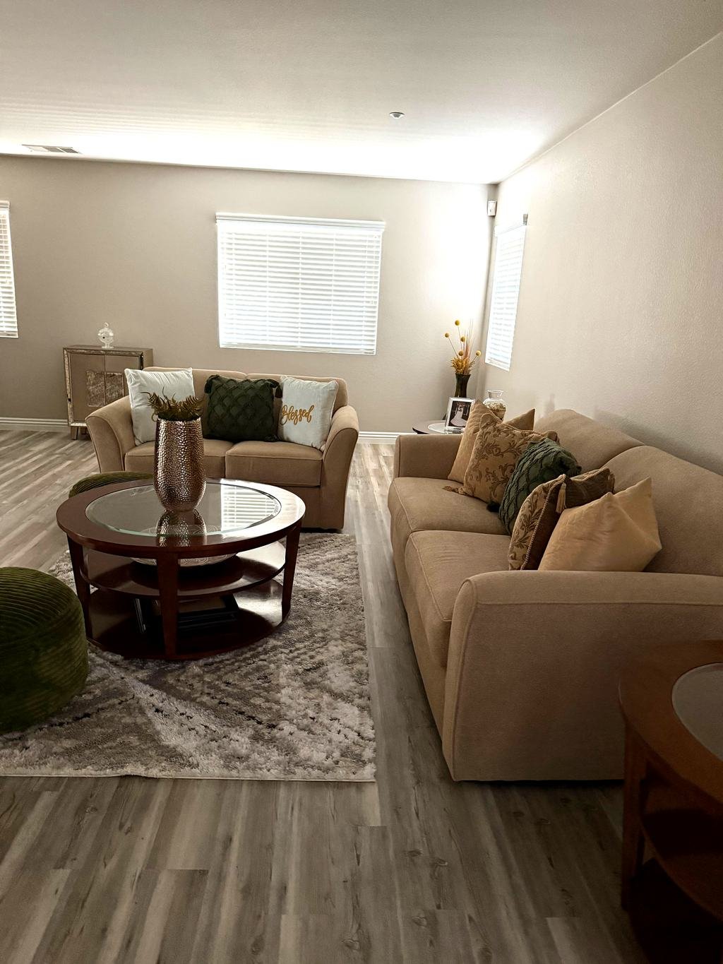 Bright family room with windows and neatly arranged cushions