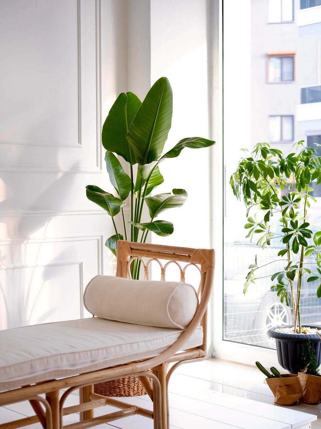 Bright reception area with bench and plants
